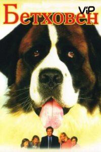 Бетховен Смотреть Онлайн на Лордфильм